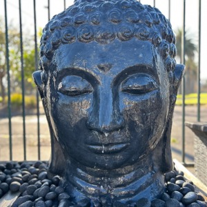 Cast Statue Buddha Head